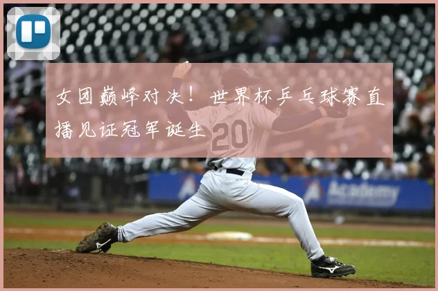 女团巅峰对决！世界杯乒乓球赛直播见证冠军诞生
