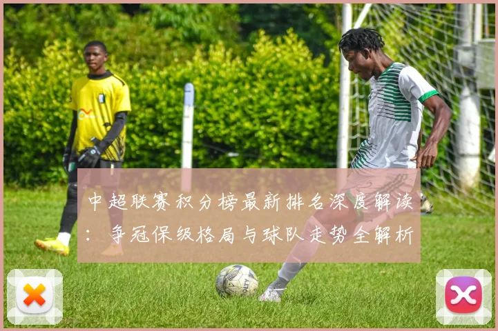 中超联赛积分榜最新排名深度解读：争冠保级格局与球队走势全解析