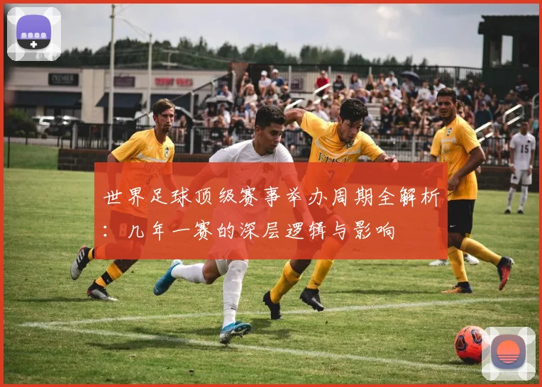 世界足球顶级赛事举办周期全解析：几年一赛的深层逻辑与影响